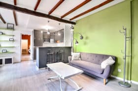 Location Appartement Meublé - 2 pièces - 50 m² - Plaisance - Porte de Vanves - 75015 Paris - 115314